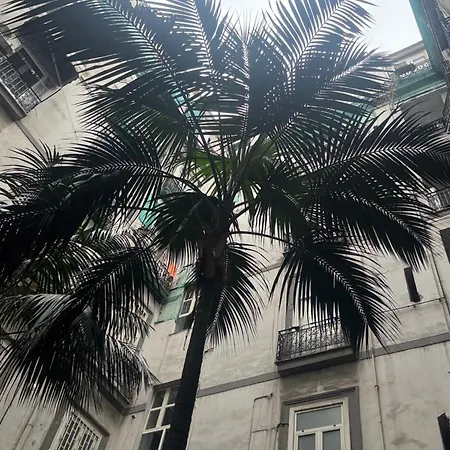Guest house Tiare 4*