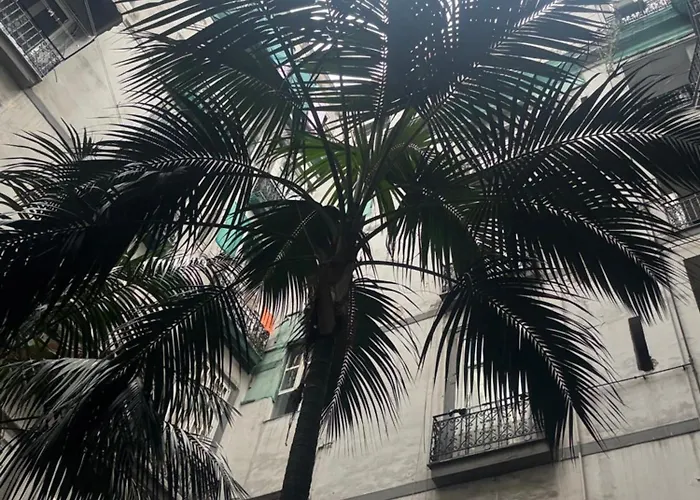 게스트하우스 Tiare 4*